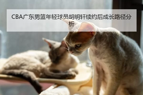 CBA广东男篮年轻球员胡明轩续约后成长路径分析