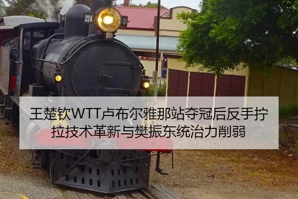 wang-chu-qin-lu-bu-er-ya-na-zhan-duo-guan-hou-fan-shou-ning-la-ji-shu-ge-xin-yu-fan-zhen-dong-tong-zhi-li-xue-ruo-3-546.jpg